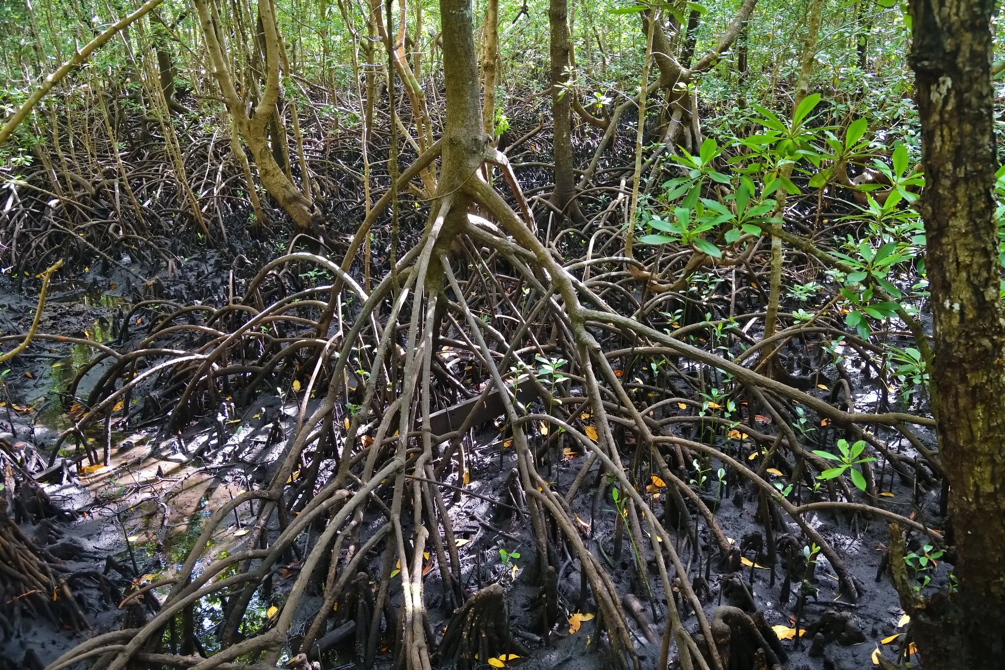 Photo 6